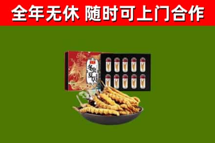 陈仓区回收冬虫夏草价格